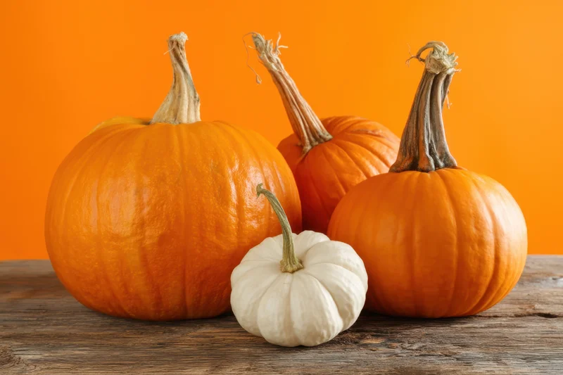 Three orange pumpkins and one small white pumpkin arranged on a wooden table against an orange background