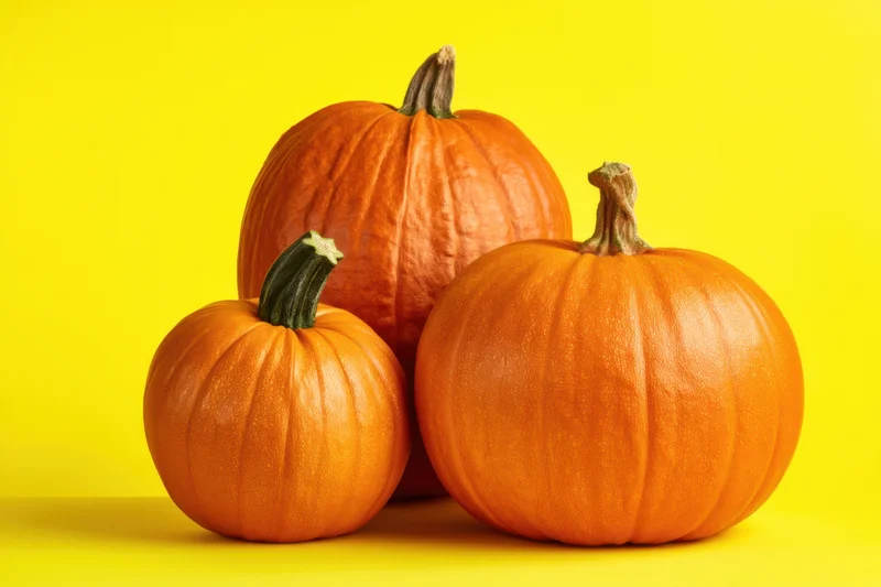 Three pumpkins of varying sizes arranged on a yellow background with copyspace
