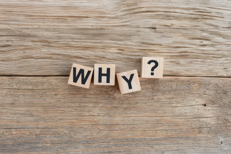 Wooden blocks spelling why with a question mark on a rustic wood surface