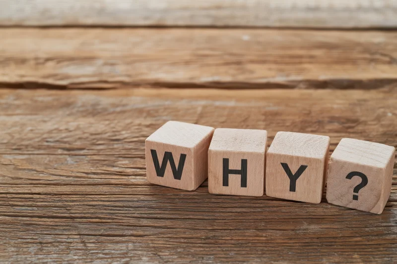 Wooden blocks spelling why with a question mark on a rustic wooden surface