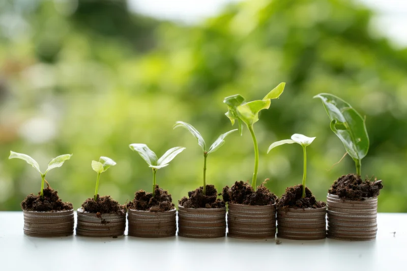 Green seedlings growing from stacks of coins arranged in a row on a white surface