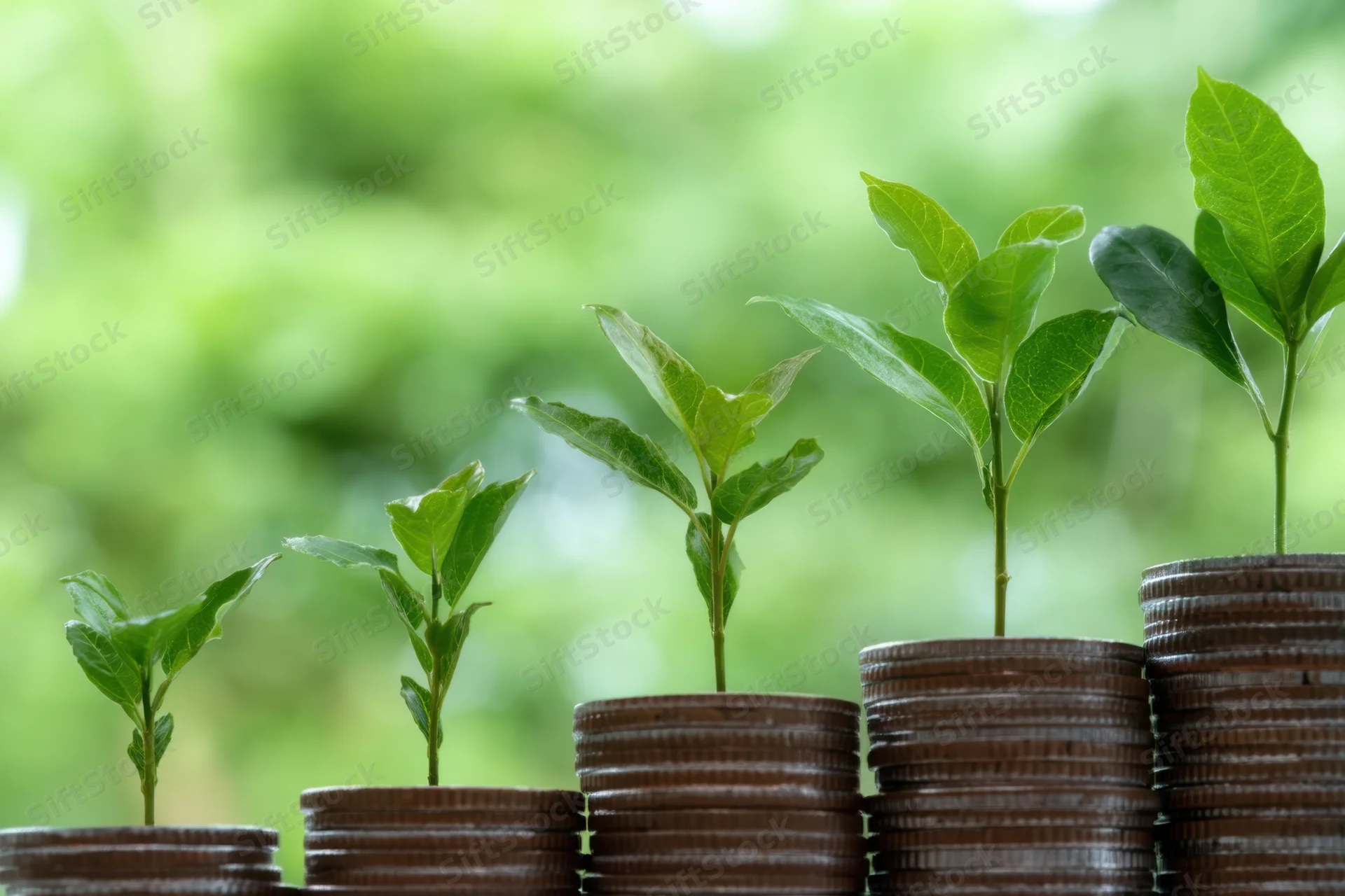 Green plants growing from stacks of coins arranged in increasing height against a blurred natural background