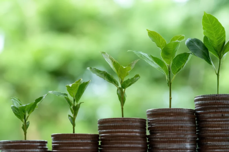 Green plants growing from stacks of coins arranged in increasing height against a blurred natural background