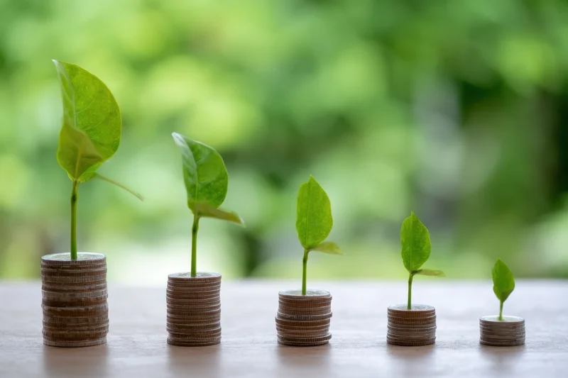 Green plants growing from stacks of coins arranged in a row on a wooden surface with blurred foliage background