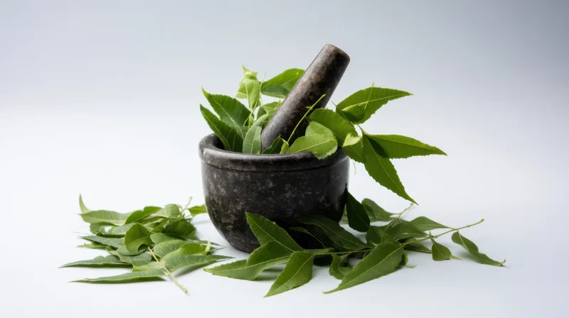 Dark stone mortar and pestle filled with fresh green neem leaves on white background