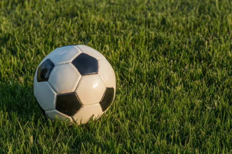 Classic black and white soccer ball resting on lush green grass field