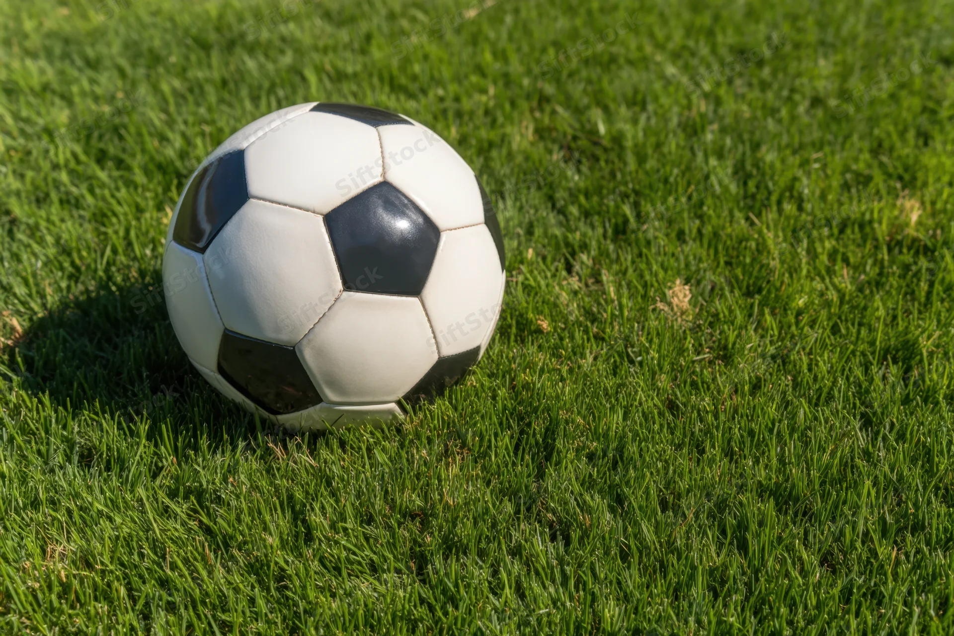 Classic black and white soccer ball resting on lush green grass in sunlight