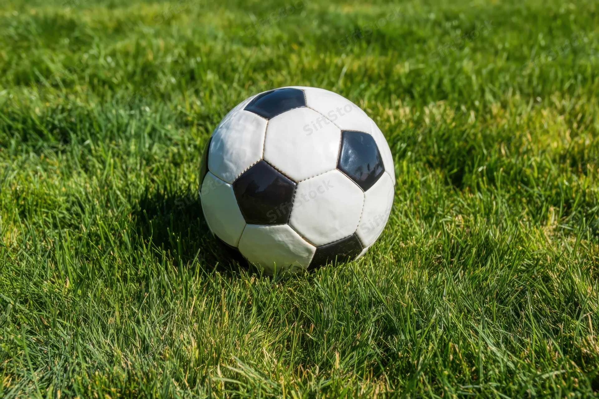 Classic black and white soccer ball resting on lush green grass in daylight