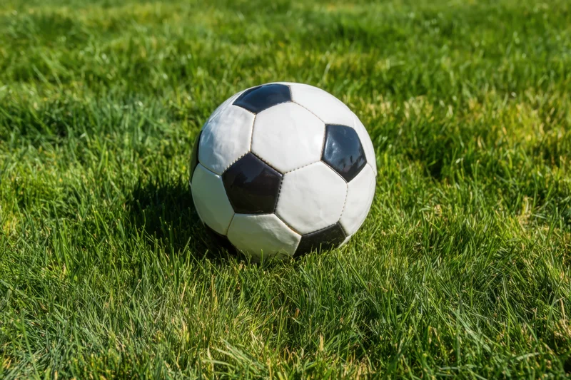 Classic black and white soccer ball resting on lush green grass in daylight