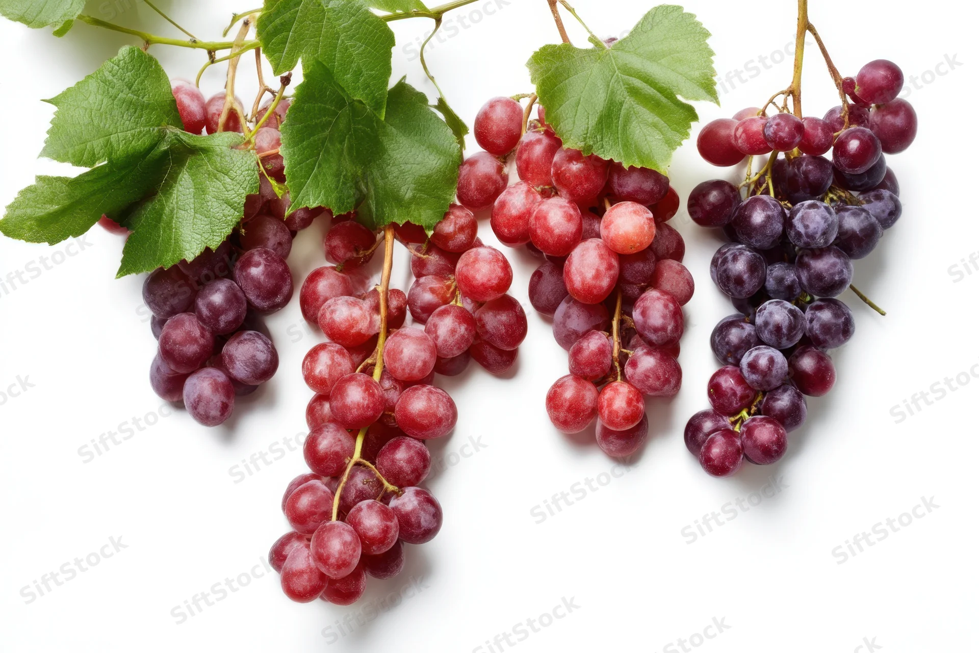 Four clusters of red and purple grapes with green leaves on a white background