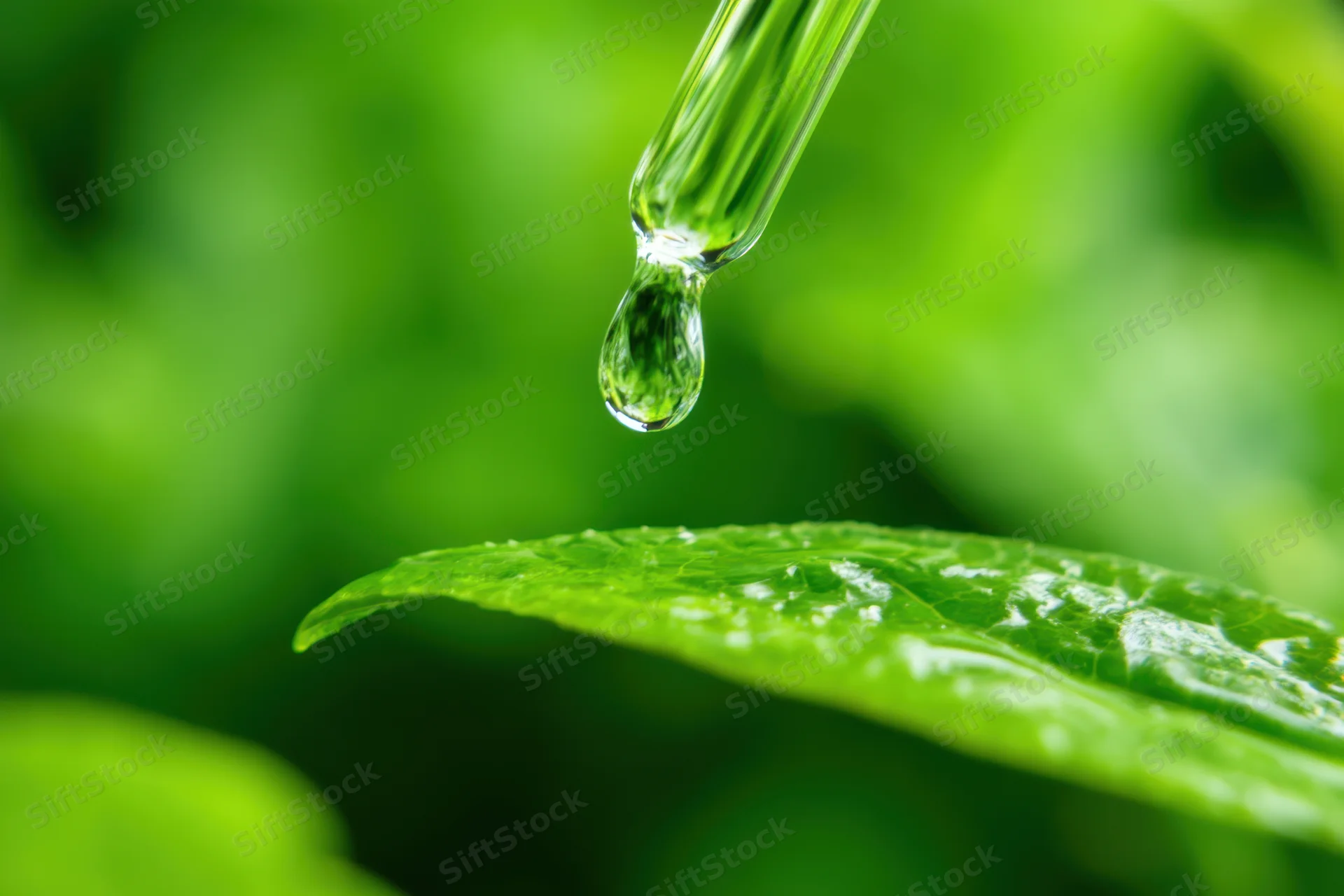 Dropper releasing a water droplet onto a vibrant green leaf in a natural setting