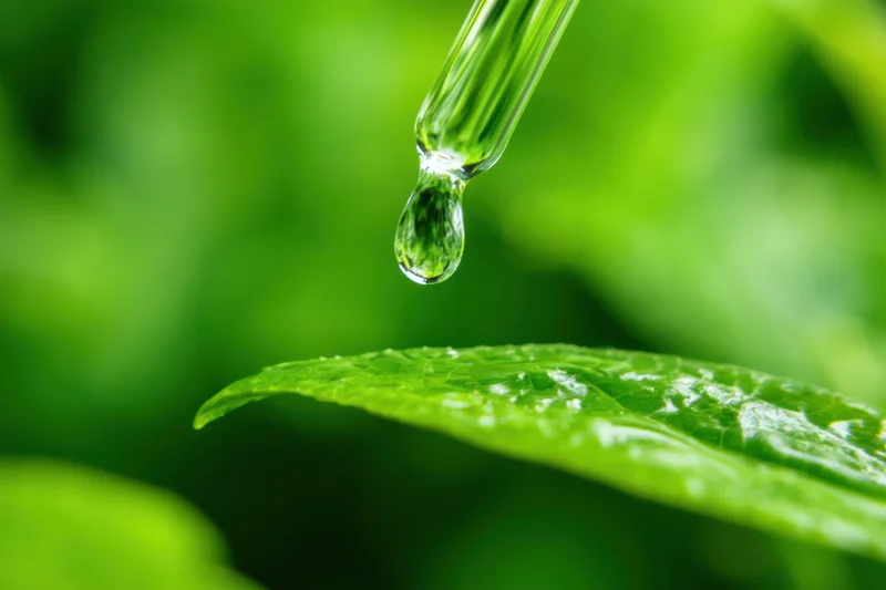 Dropper releasing a water droplet onto a vibrant green leaf in a natural setting