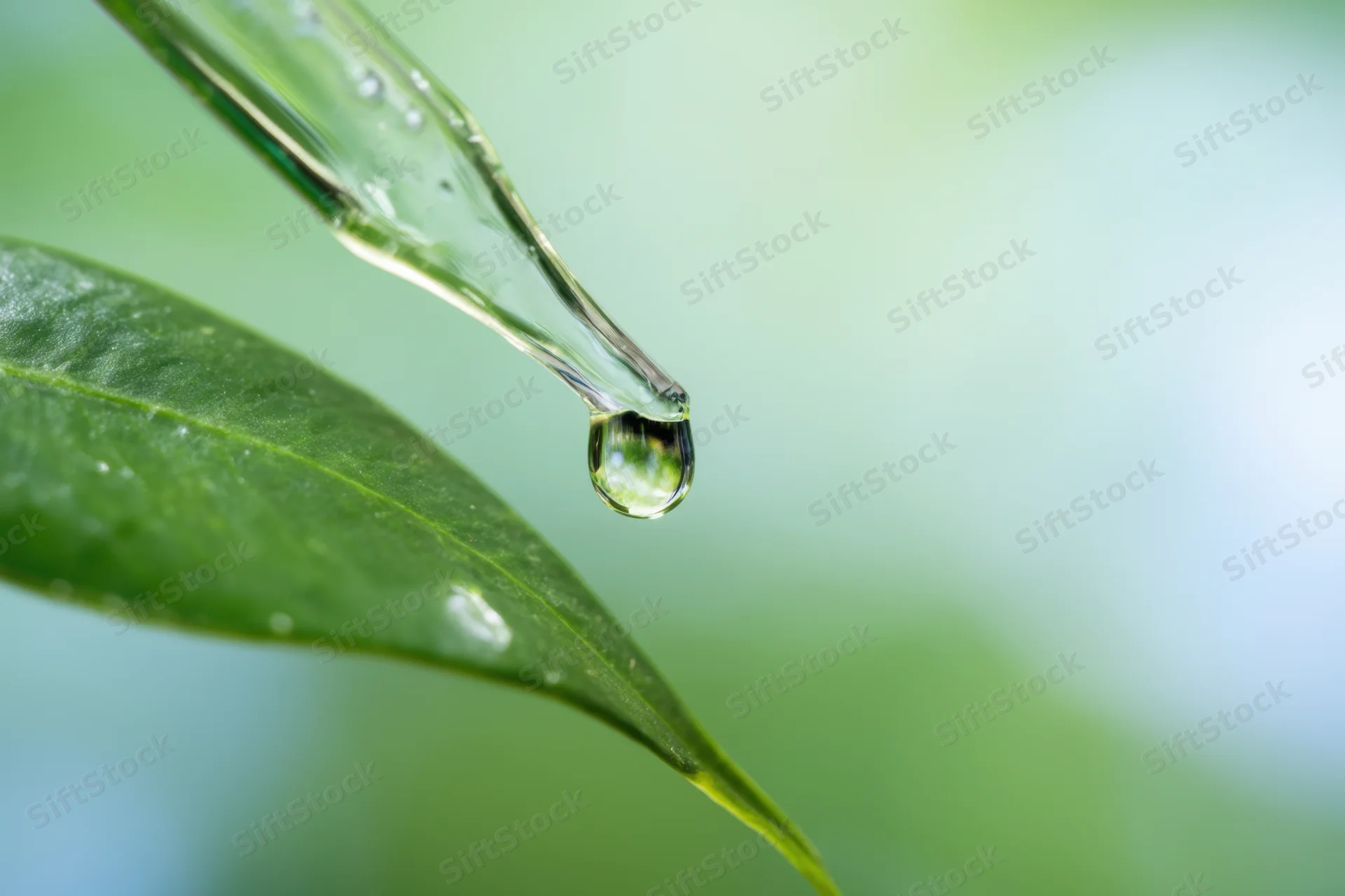 Glass pipette releasing a droplet of liquid above a green leaf