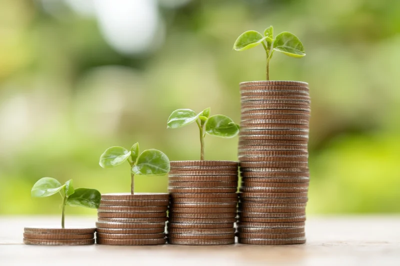 Stacks of coins with growing plants on top arranged in increasing height on a wooden surface outdoors