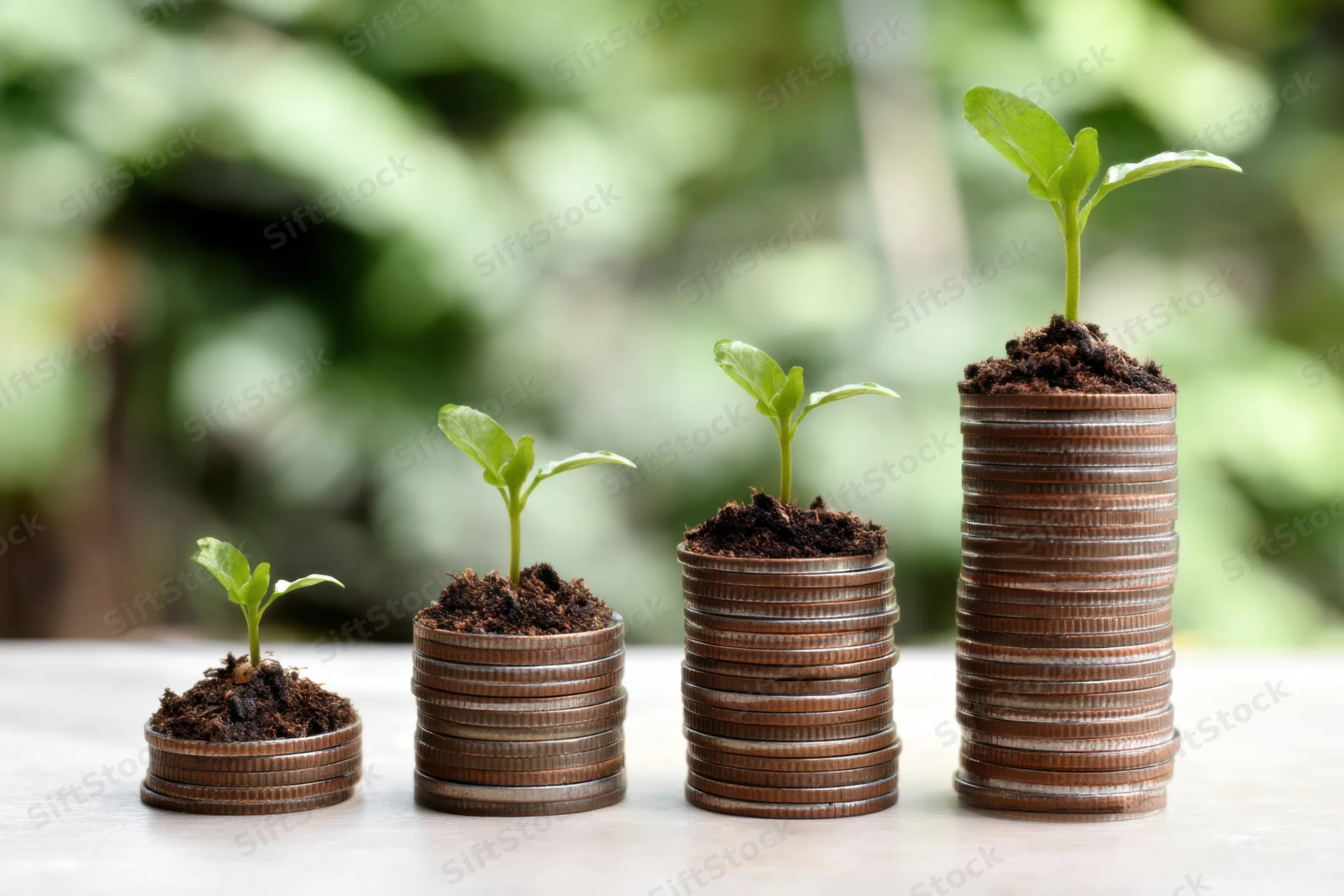 Four stacks of coins with soil and growing seedlings arranged in increasing height on a wooden surface