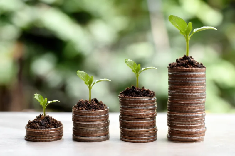 Four stacks of coins with soil and growing seedlings arranged in increasing height on a wooden surface