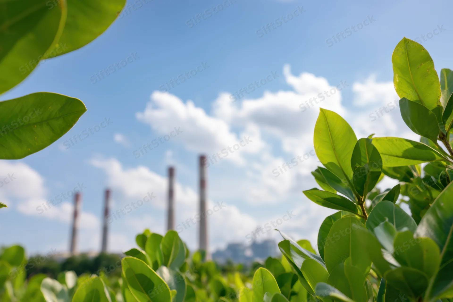 Green leaves in foreground with industrial smokestacks in background under blue sky