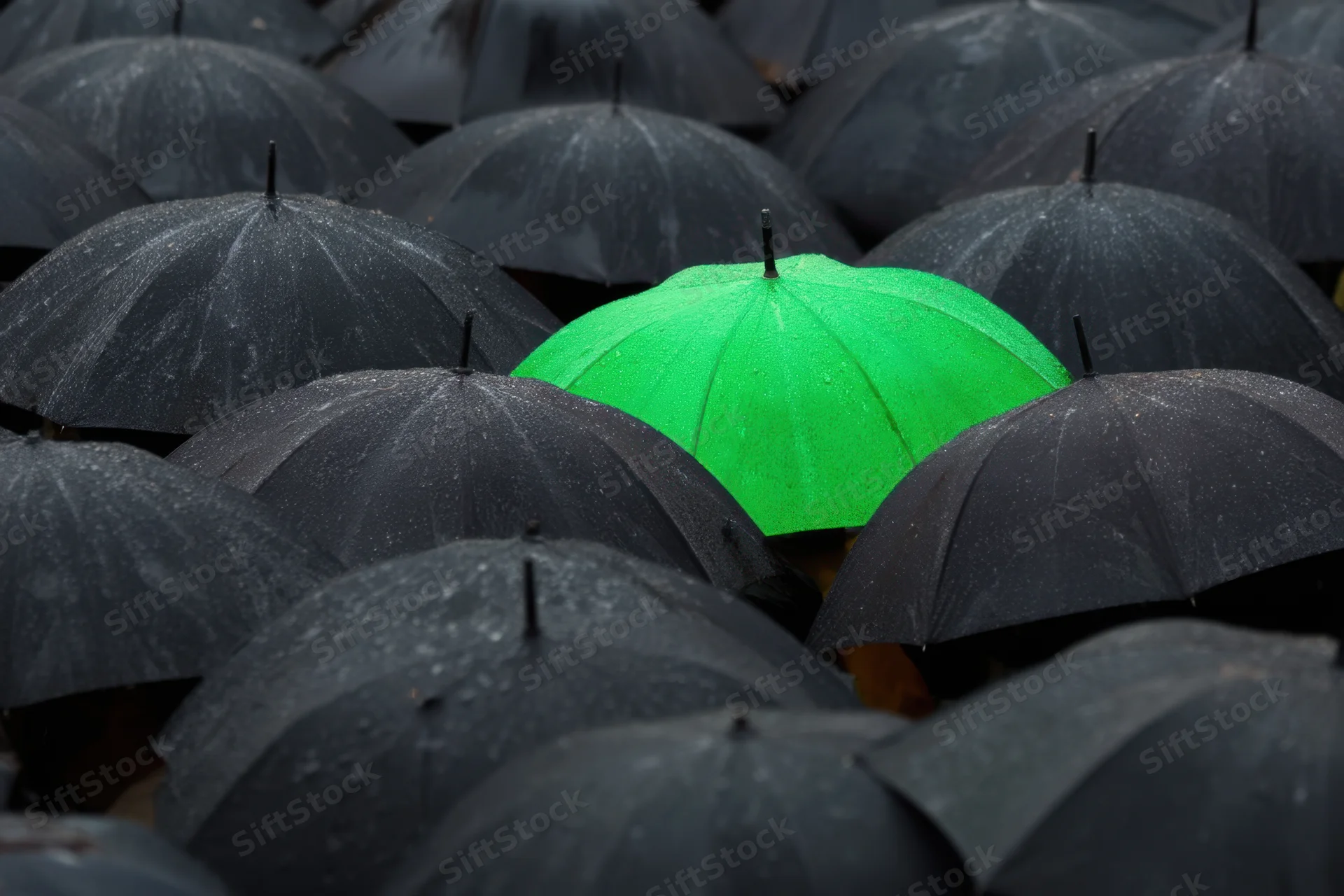 A single green umbrella among a crowd of black umbrellas in the rain