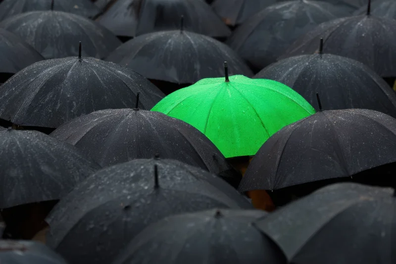 A single green umbrella among a crowd of black umbrellas in the rain