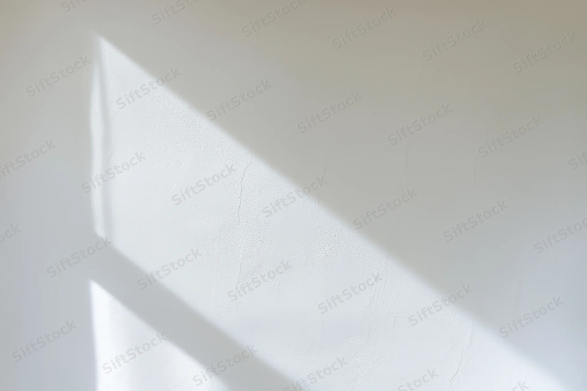 Soft shadows cast across a white wall in a minimalist interior