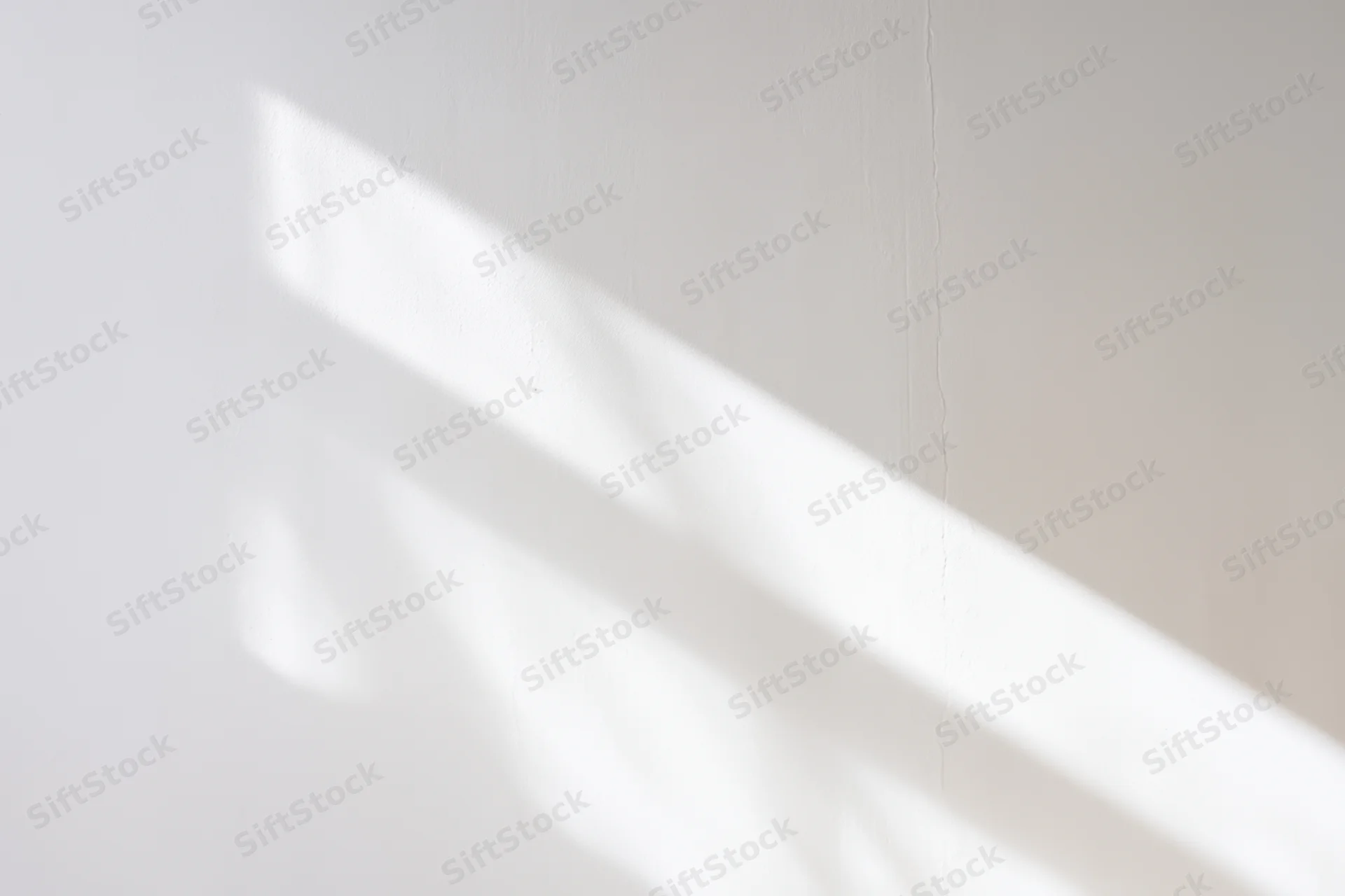 Soft shadows cast across a white wall in a minimalist interior