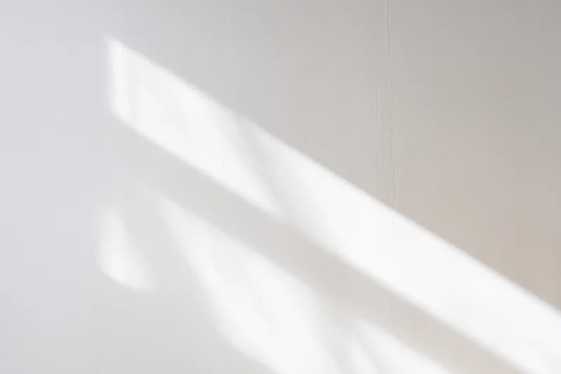 Soft shadows cast across a white wall in a minimalist interior
