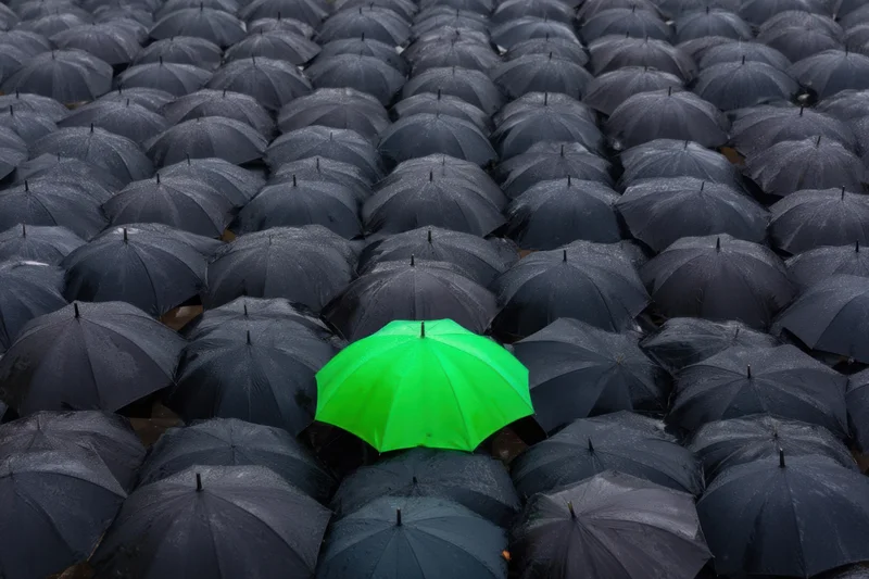 A single green umbrella standing out among a sea of black umbrellas in the rain