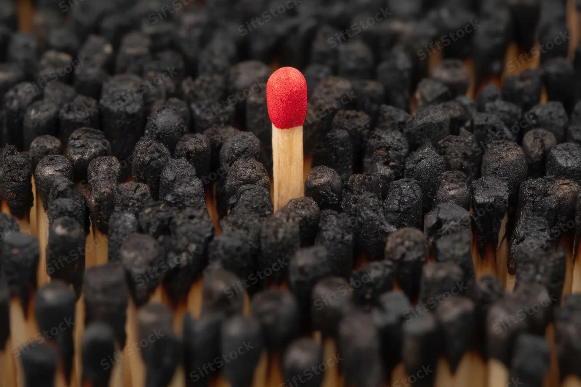 Single unburnt matchstick with red head standing among burnt matches