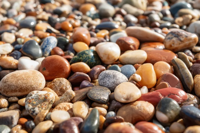 Polished pebbles and stones scattered across a natural surface in daylight