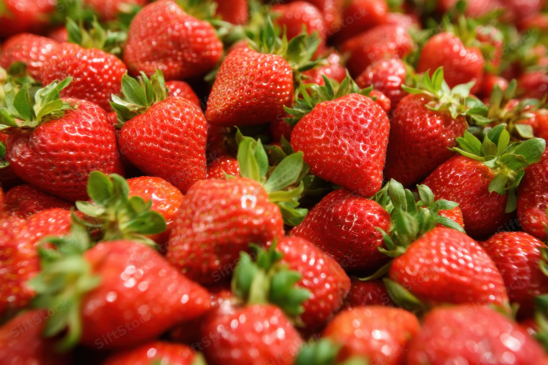 Closeup of ripe red strawberries with green stems piled together in a harvest display