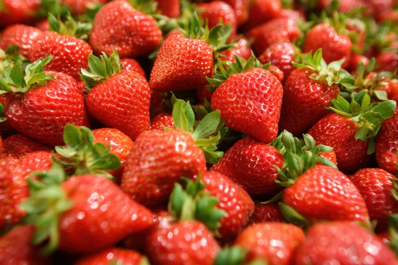 Closeup of ripe red strawberries with green stems piled together in a harvest display