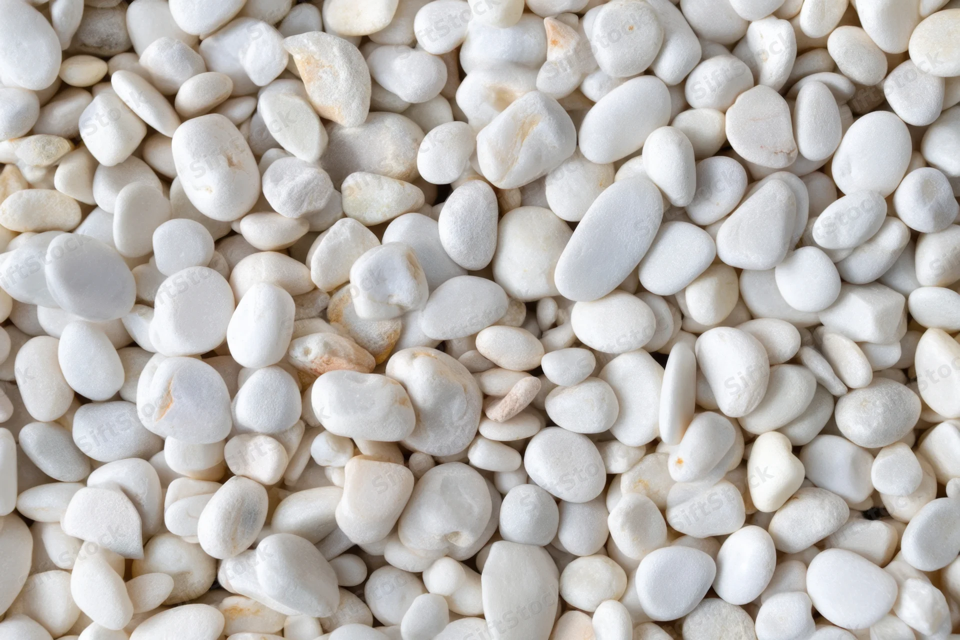 Smooth white pebbles scattered across a flat surface as a textured ground cover