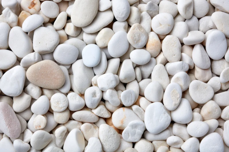 Smooth white pebbles scattered across a flat surface as a natural texture background
