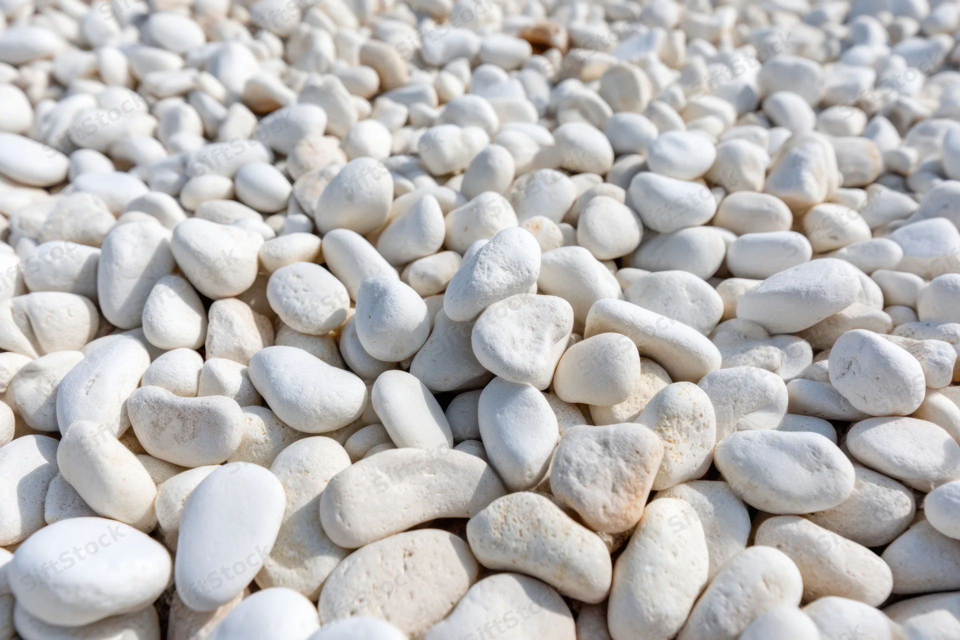 Smooth white pebbles scattered across a flat surface as ground cover
