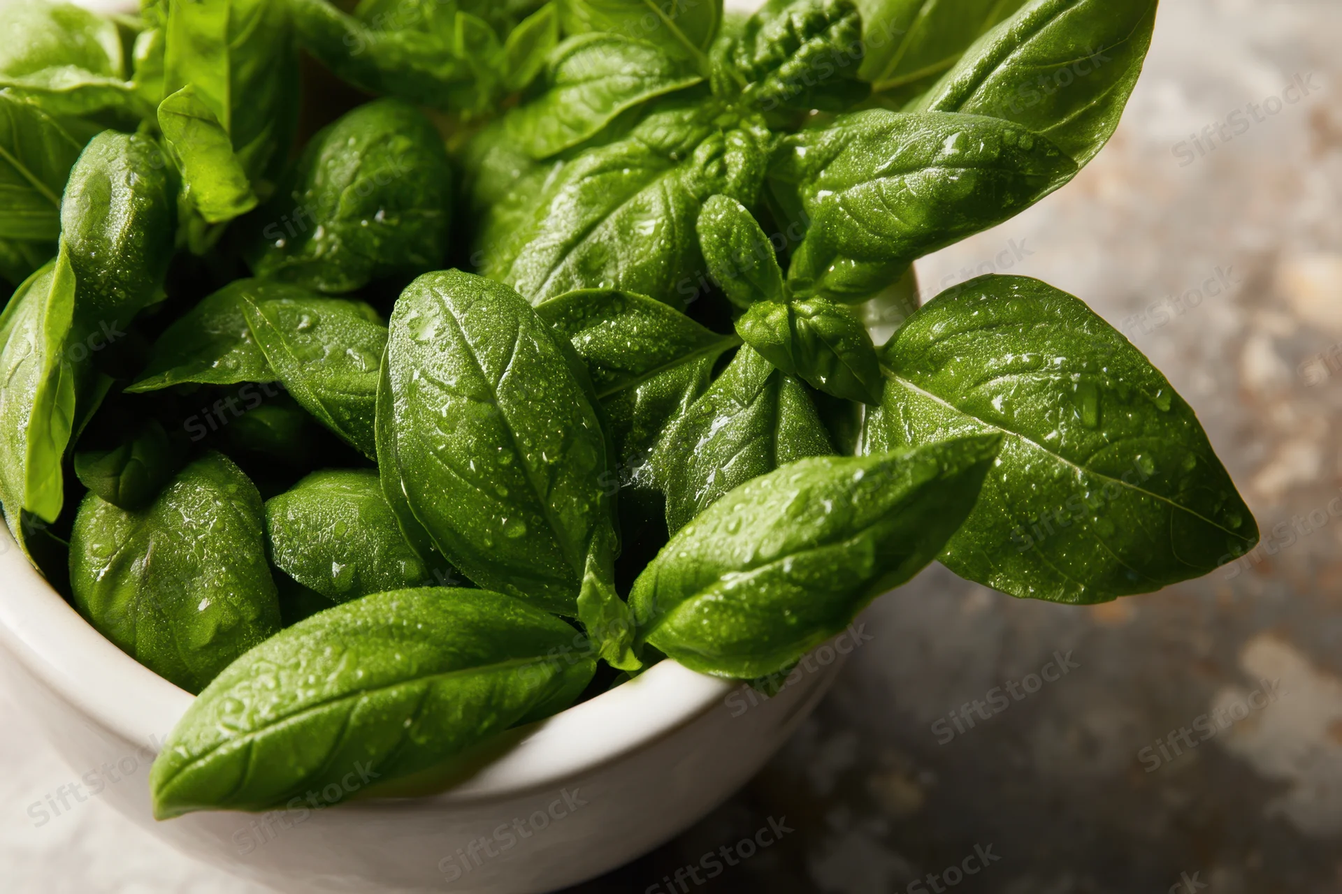 Fresh basil leaves in a white ceramic mortar with water droplets on a textured surface