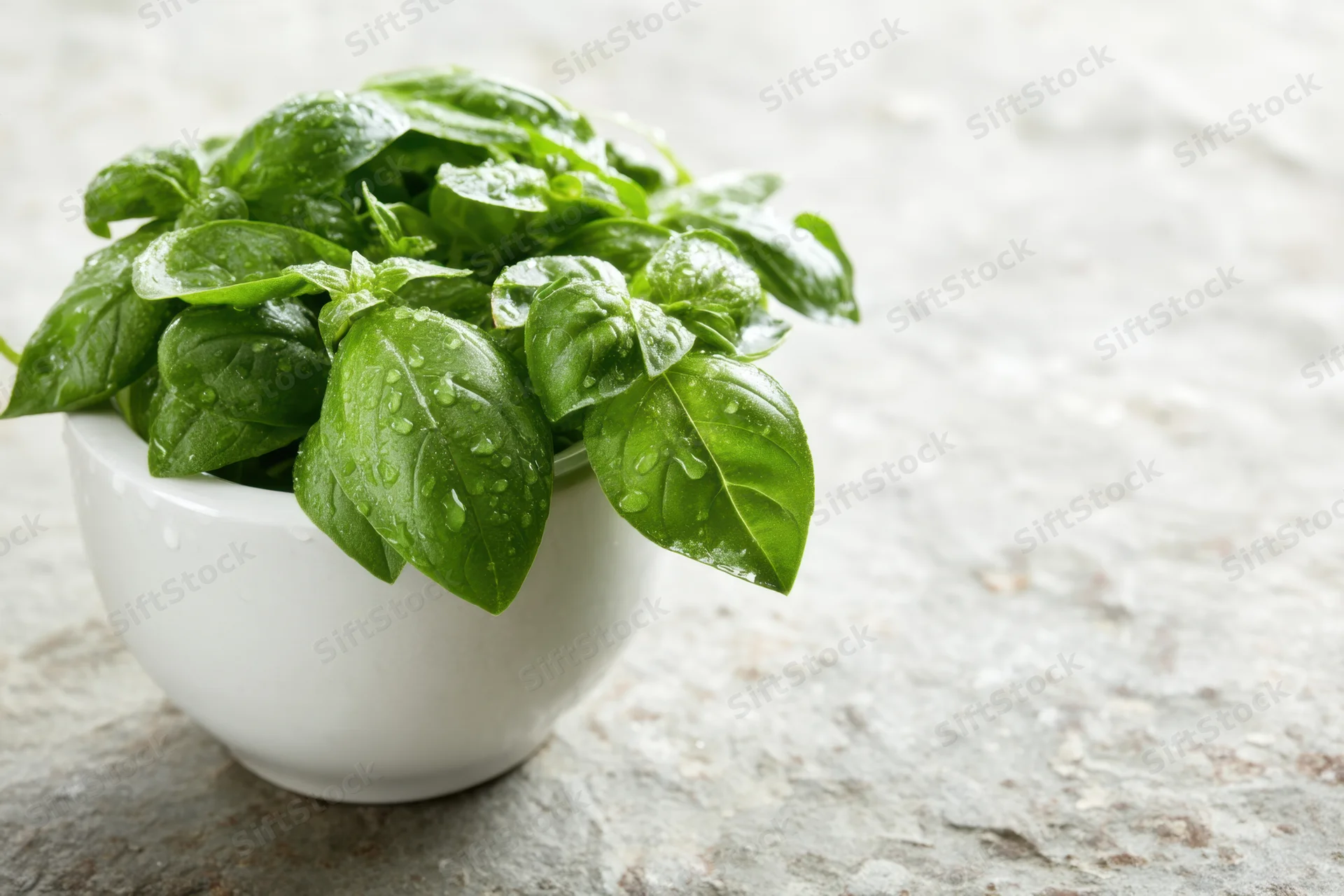 Fresh basil leaves in a white ceramic mortar on a stone surface