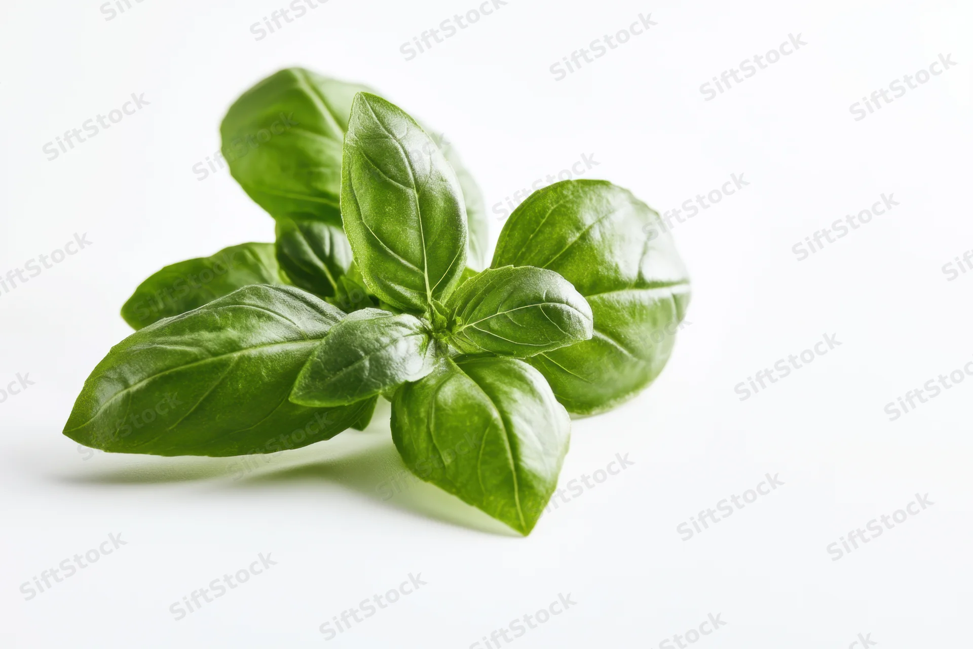 Cluster of fresh basil leaves arranged on a white surface