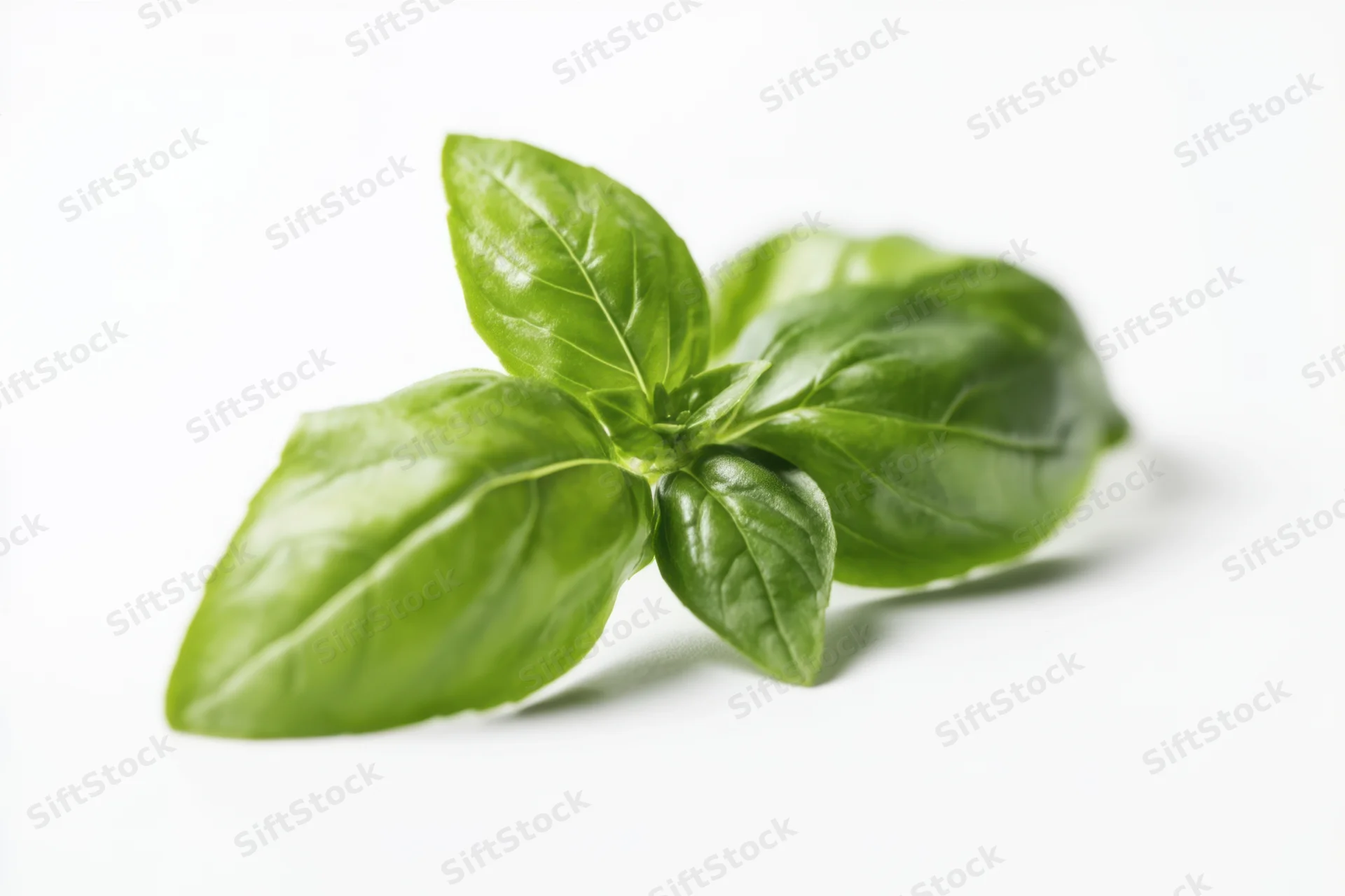 Cluster of fresh basil leaves arranged on a white surface