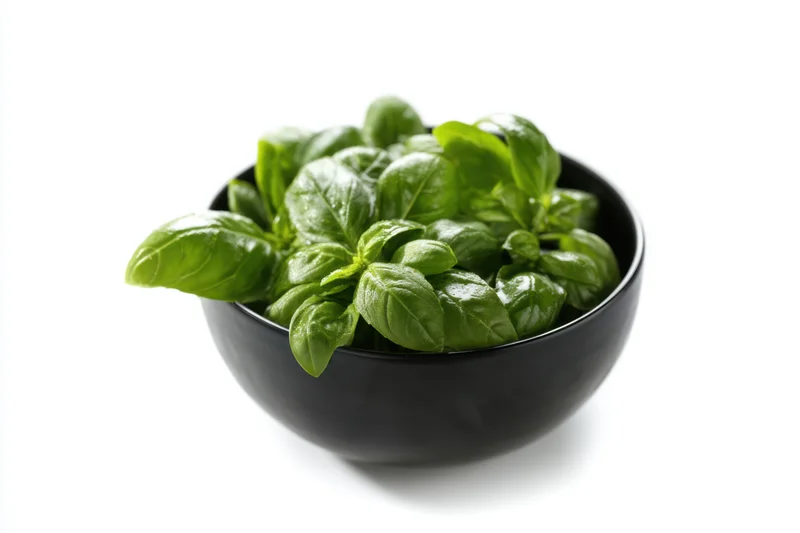 Fresh basil leaves arranged in a black round bowl on white background