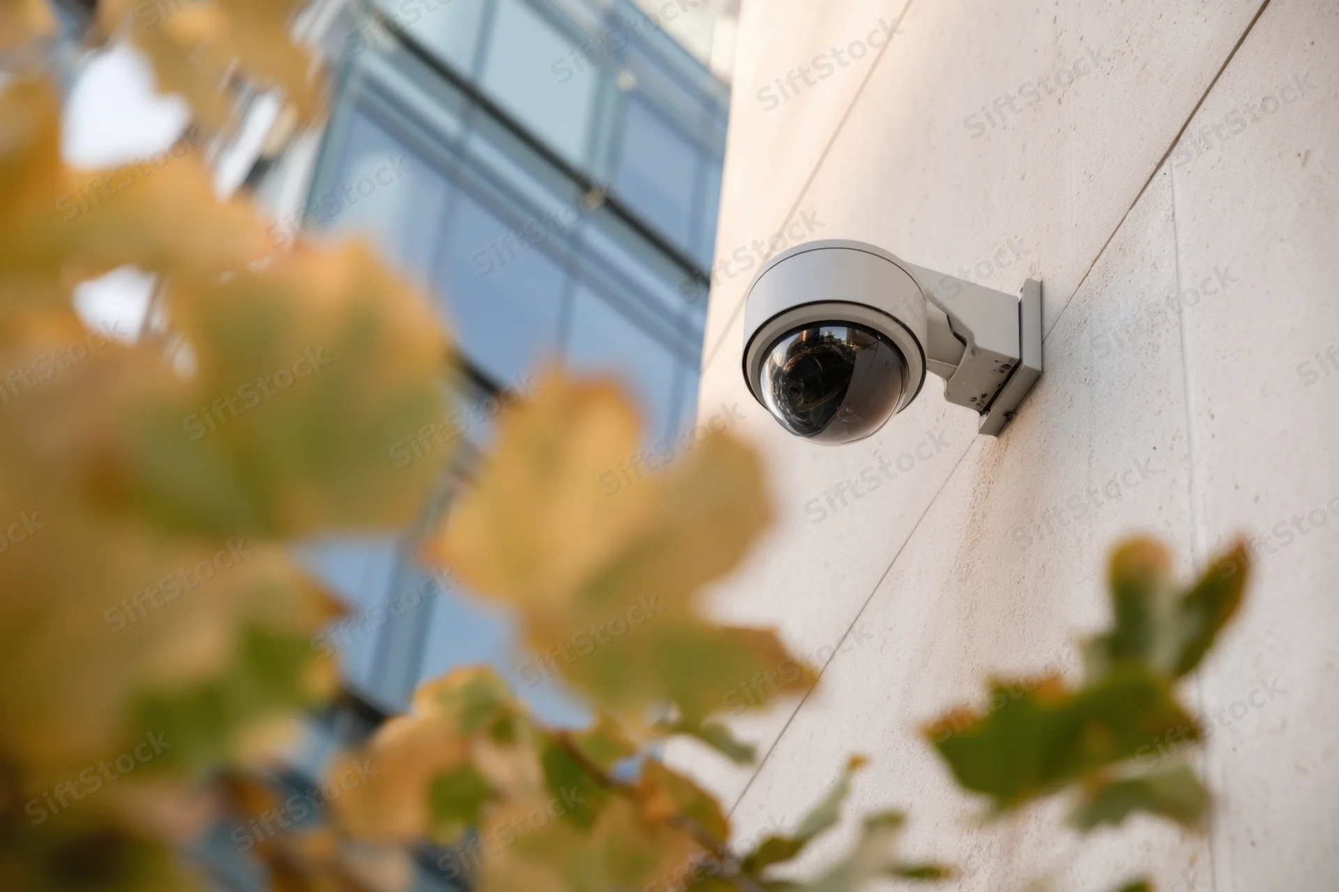 Security camera mounted on a concrete wall with autumn leaves in the foreground