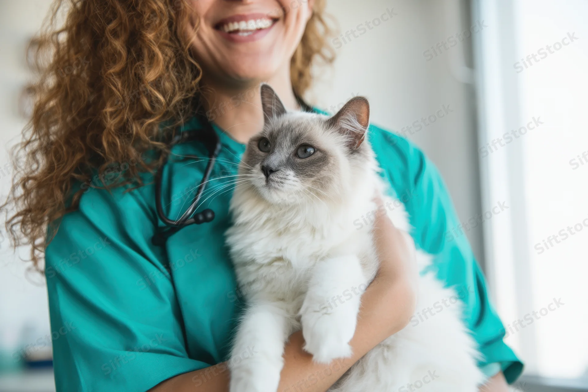 Smiling female veterinarian holding a fluffy cat in her arms at a clinic