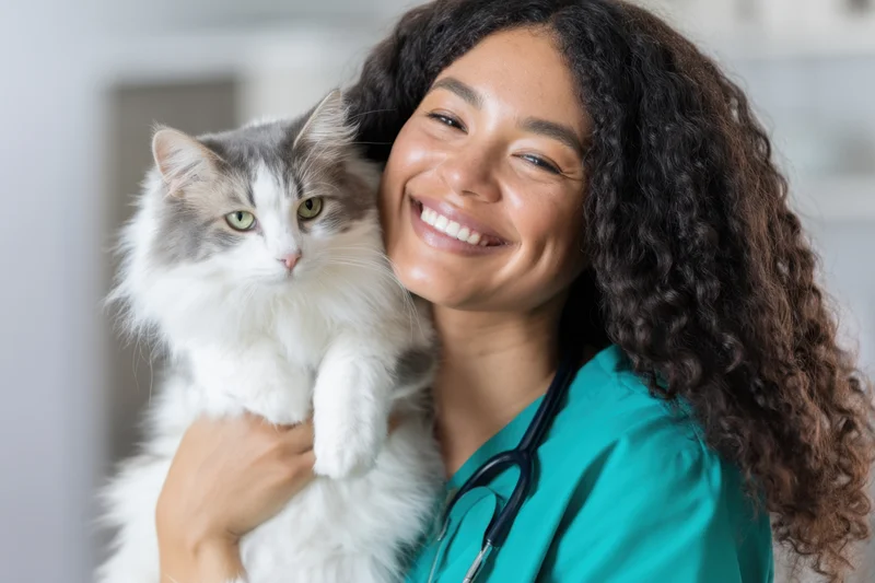 Smiling female veterinarian holding fluffy cat in clinic