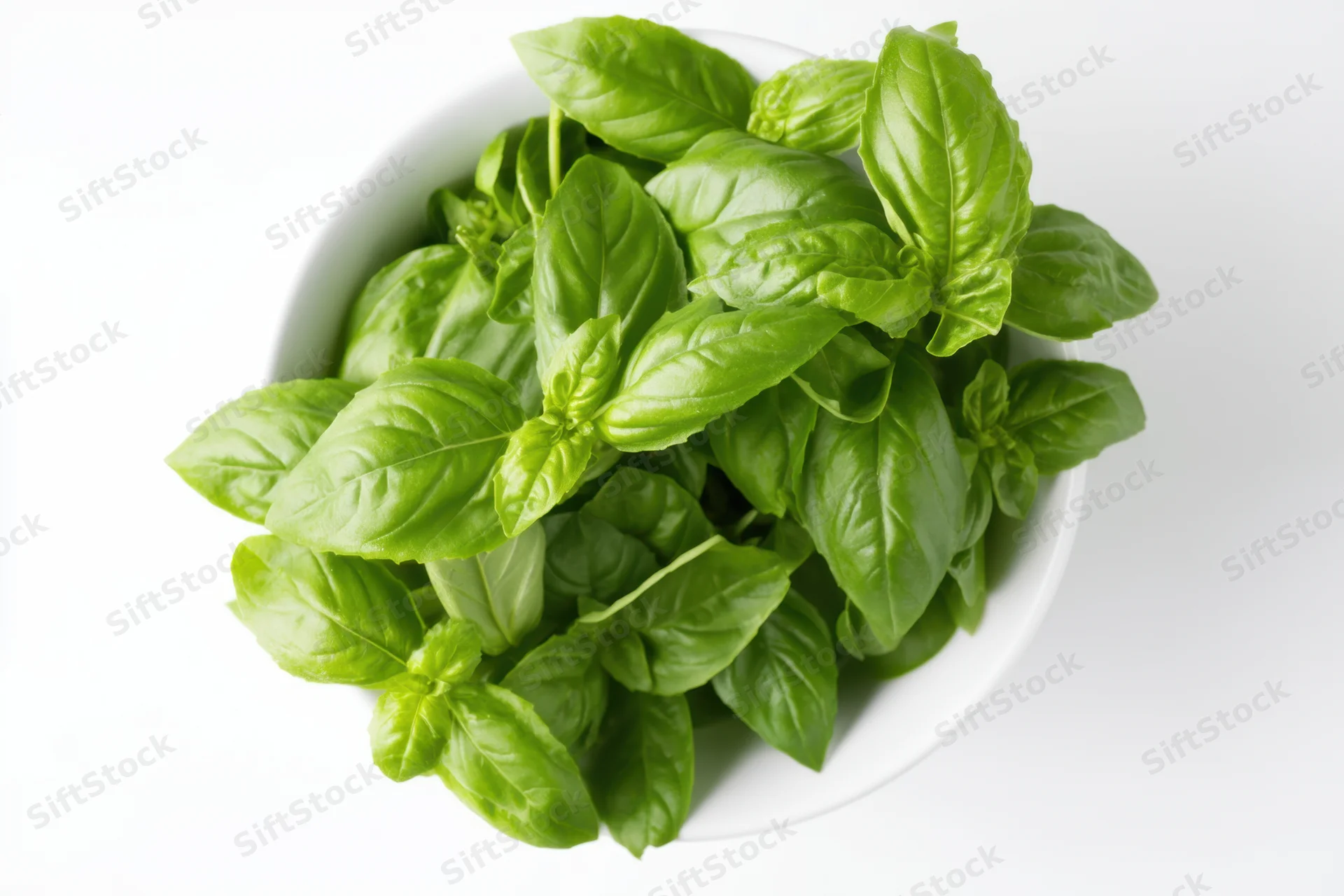 Fresh basil leaves in a white bowl on a white background