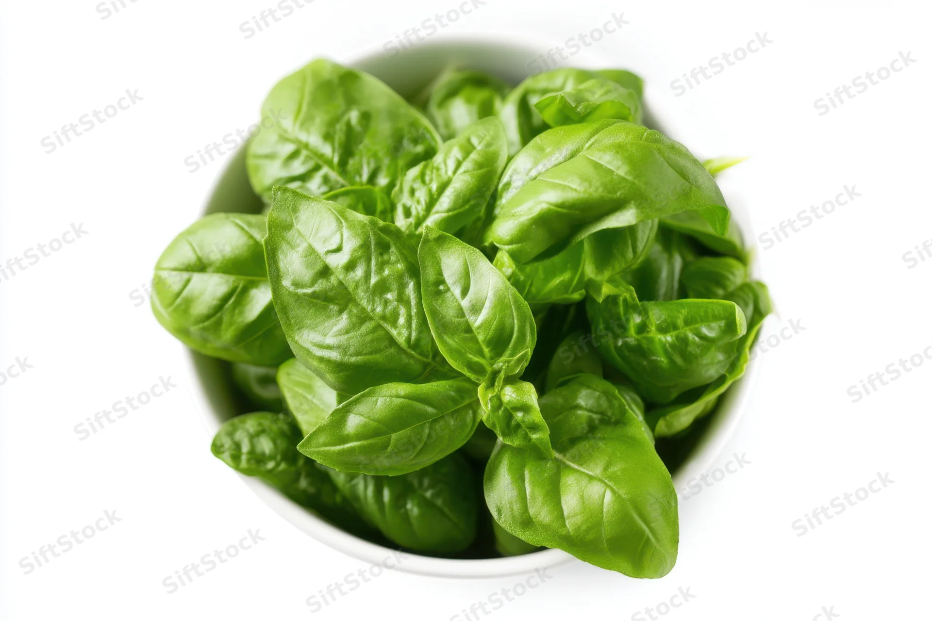 Fresh basil leaves in a white bowl on a white background