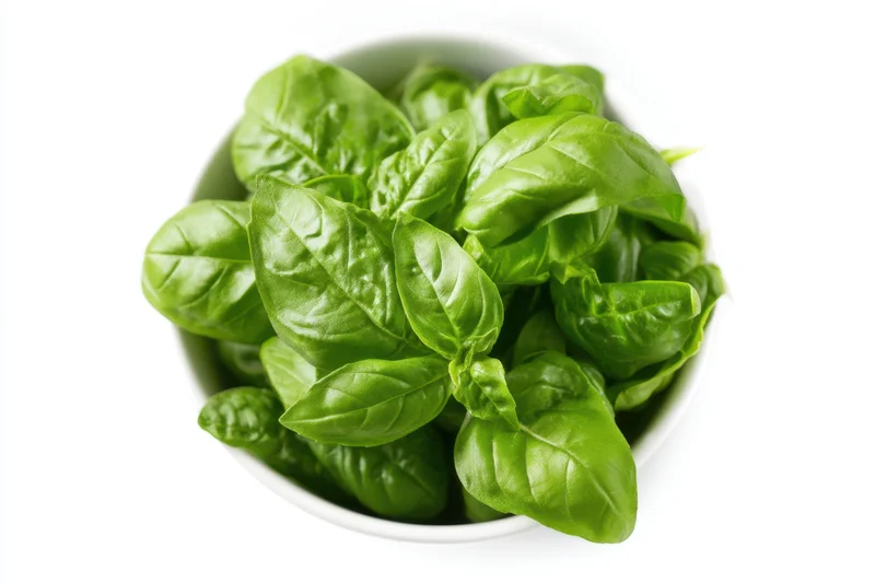 Fresh basil leaves in a white bowl on a white background