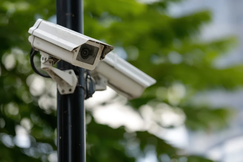 Two surveillance cameras mounted on a black pole outdoors with green foliage in the background
