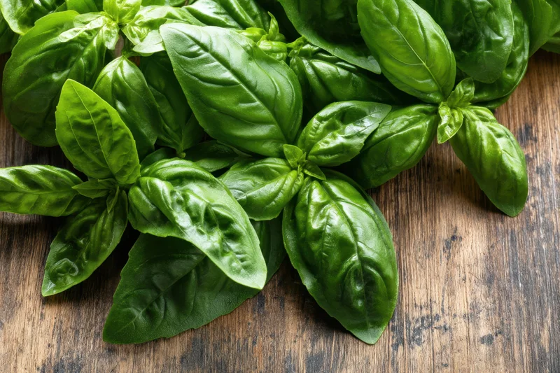 Fresh basil leaves arranged on a wooden surface