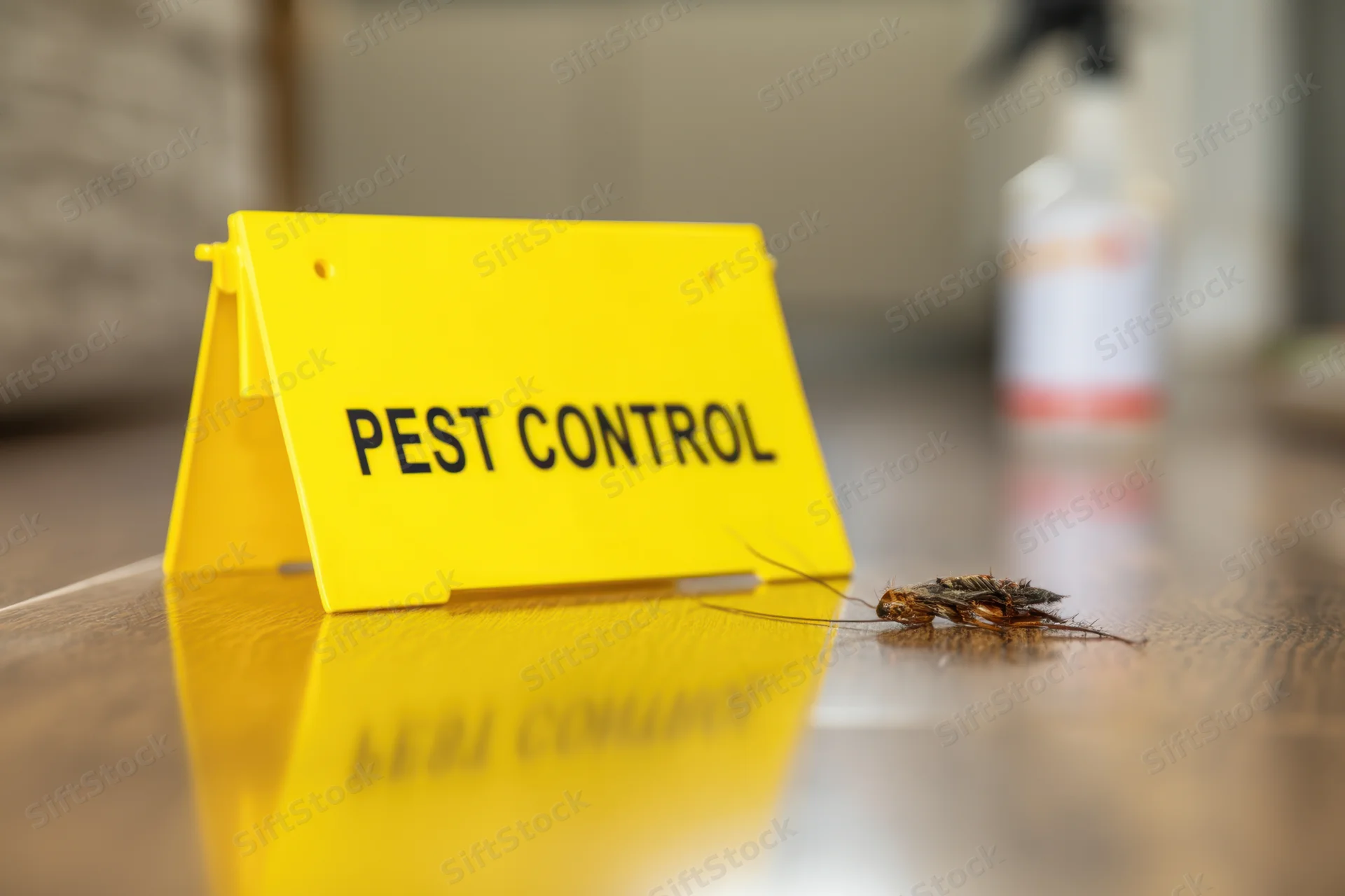 Yellow pest control sign with dead cockroach on wooden floor near spray bottle