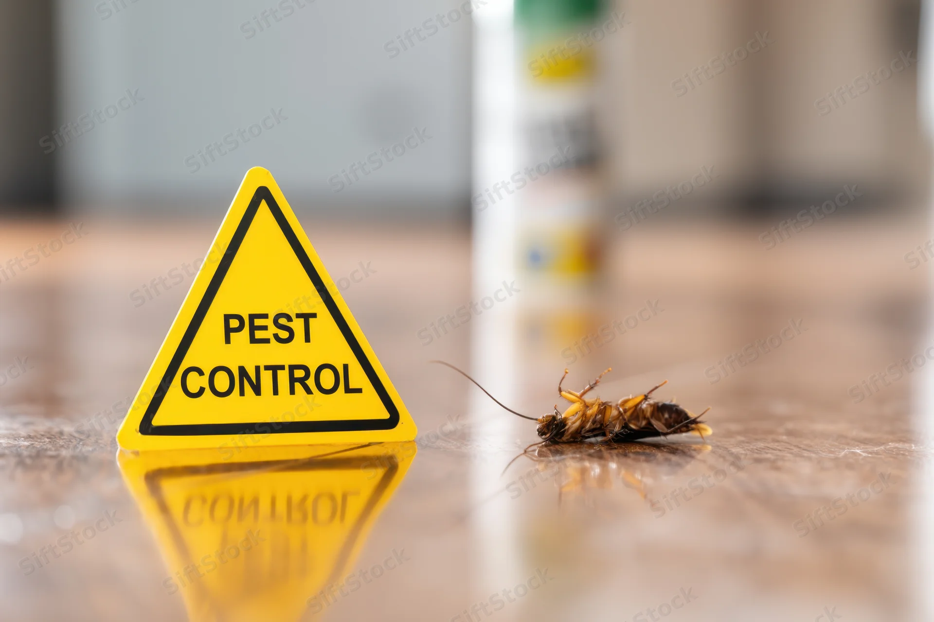 Dead cockroach next to yellow pest control warning sign on wooden kitchen floor