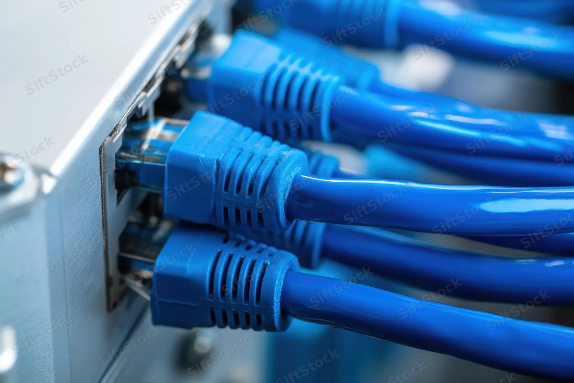 Blue ethernet cables plugged into a network switch port